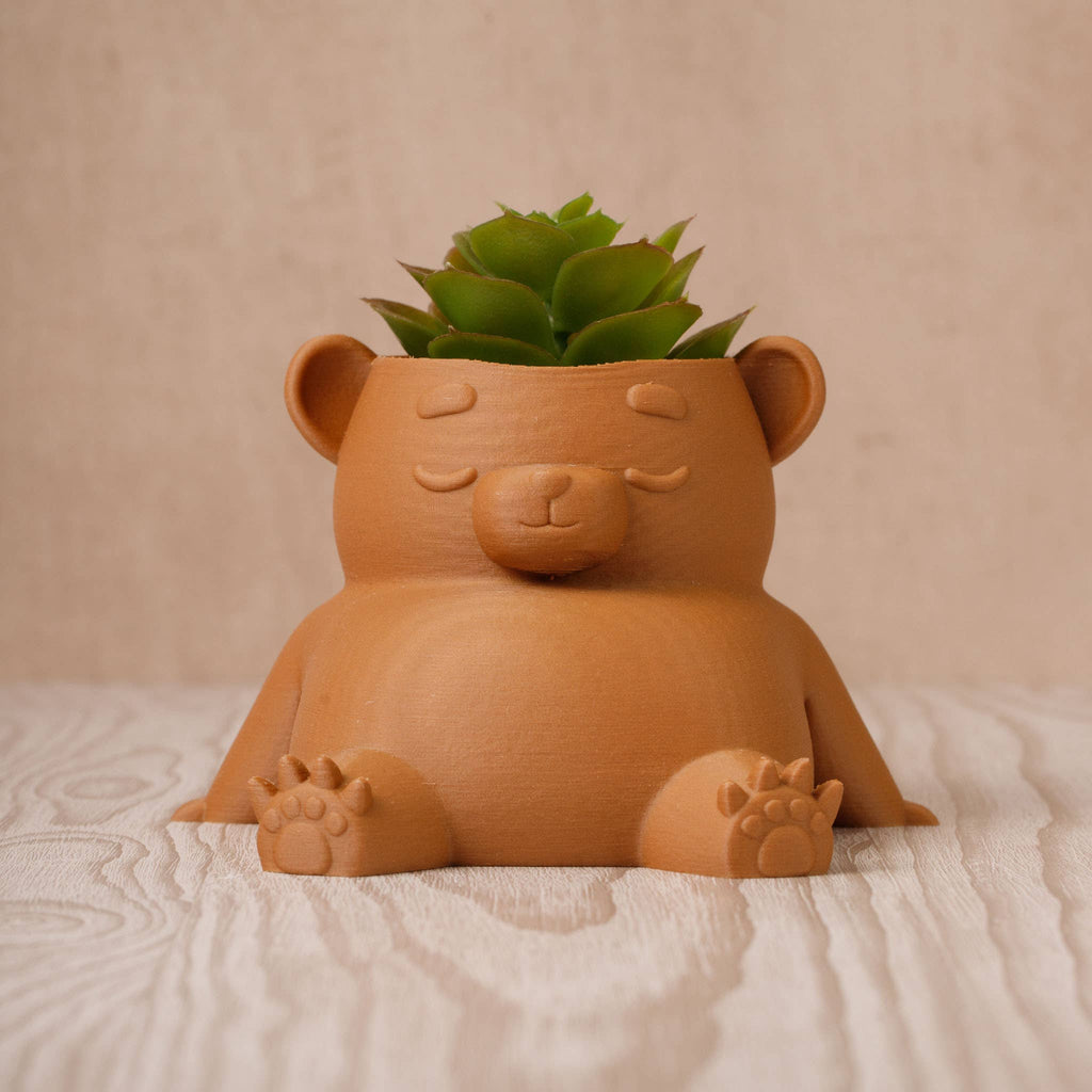 teddy bear plant pot Ingadi