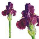 if USA - Flower Bookmarks