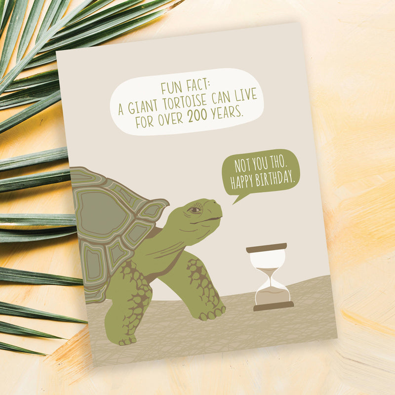 Modern Printed Matter - Tortoise Fact Funny Birthday Card