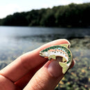 Wildship Studio - Rainbow Trout Enamel Pin