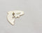 Wildship Studio - Rainbow Trout Enamel Pin