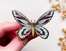 Alum and Ink - Queen Alexandra's Birdwing (Ornithoptera alexandrae) Butterfly Enamel Pin