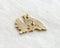 Wildship Studio - Robin Enamel Pin