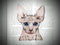 Dark Veinlet - Clear Bookmark - Sphinx Cat Hairless Goth Gothic Horror