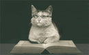 Found Image Press - LT-229 Wise Cat Reading Book - Vintage Image, Magnet
