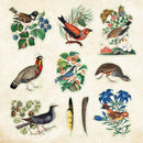 Peter Pauper Press - Zoological Ephemera Sticker Book