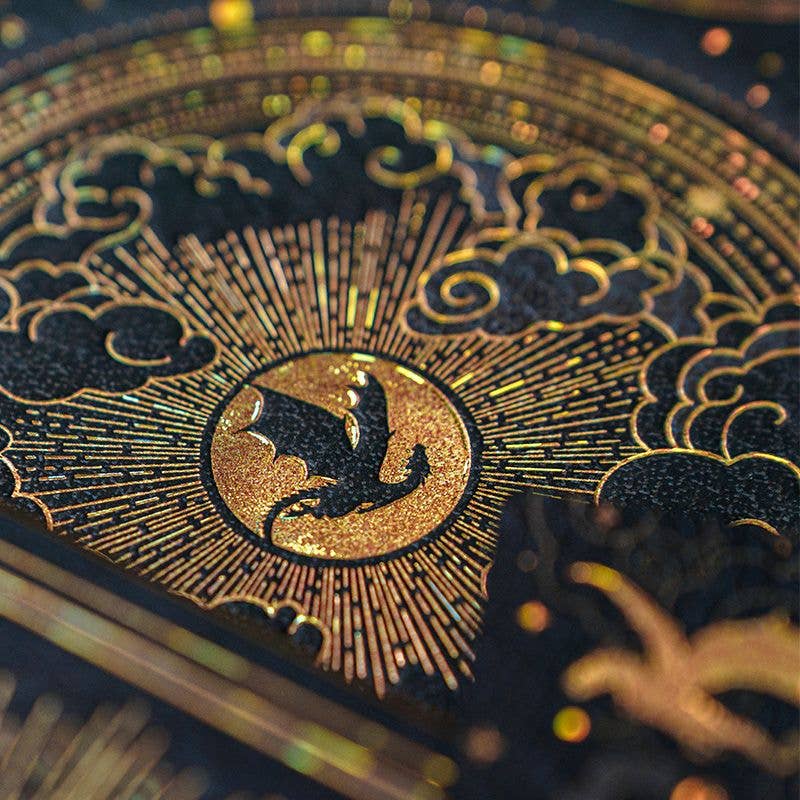 Chronicle Books - Paperblanks Shadows of Navarre Hardcover (Fourth Wing)