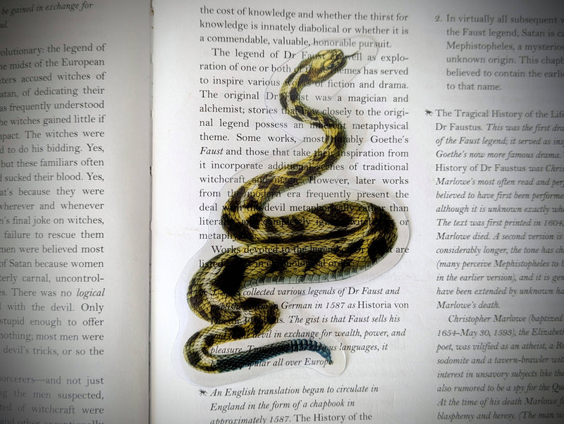 Dark Veinlet - Clear Bookmark - Rattlesnake Reptile Desert Dark Academia