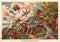Found Image Press - Postcard AN-401 Prehistoric Creatures