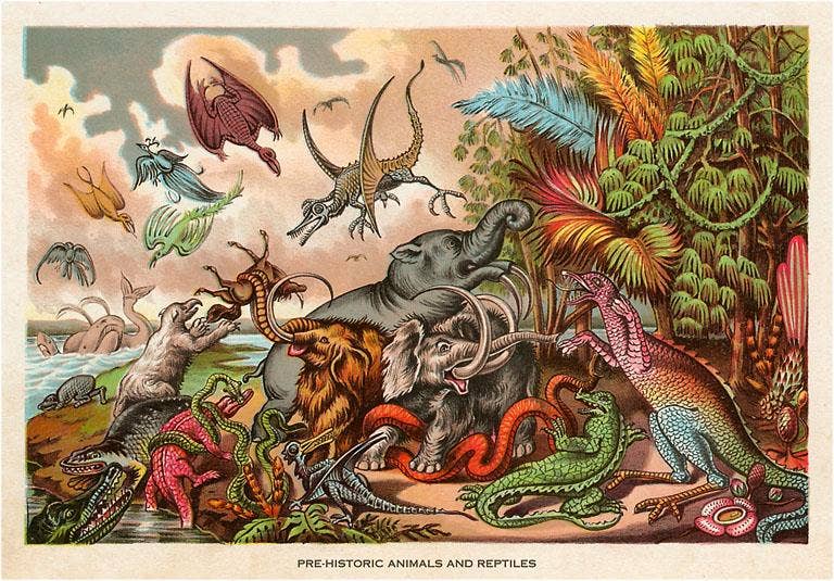 Found Image Press - Postcard AN-401 Prehistoric Creatures