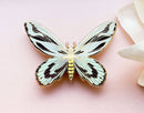 Alum and Ink - Queen Alexandra's Birdwing (Ornithoptera alexandrae) Butterfly Enamel Pin
