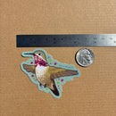 Soy Moss Art - Calliope Hummingbird Glitter Sticker