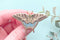 Alum and Ink - Eastern Tiger Swallowtail Butterfly (Papilio glaucus) Enamel Pin: Locking Pin Back