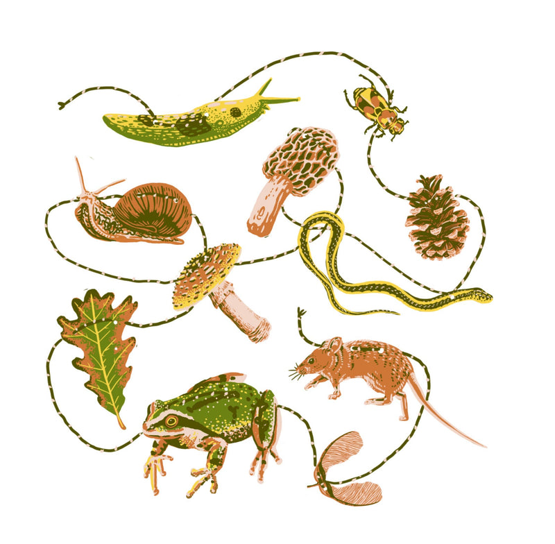 Hissing Mink - Forest Floor Paper Garland