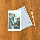 Found Image Press - Postcard WD-40 Pileated Woodpecker
