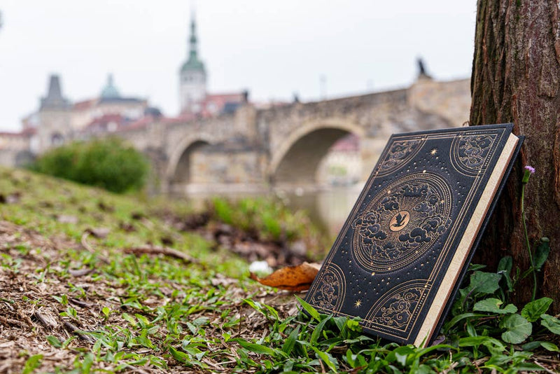 Chronicle Books - Paperblanks Shadows of Navarre Hardcover (Fourth Wing)