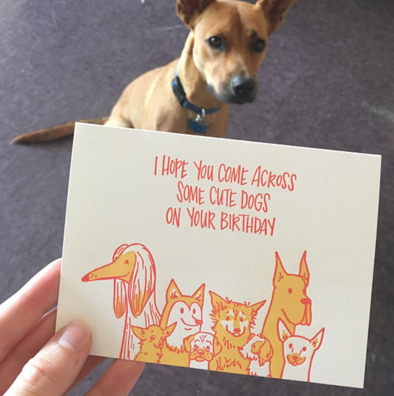 Frog & Toad Press - Cute Dogs Birthday Greeting Card