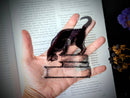 Dark Veinlet - Clear Bookmark - Black Cat on Books Goth Gothic