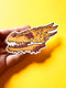Fox and Brambles - Gold Dragon Skull Vinyl Sticker