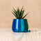 Ingadi - Happy Pot Planter - Alocasia Leaf Face : Medium