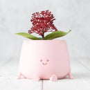 Ingadi - Happy Pot Planter - Peach Pink: Medium