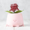 Ingadi - Happy Pot Planter - Peach Pink: Medium