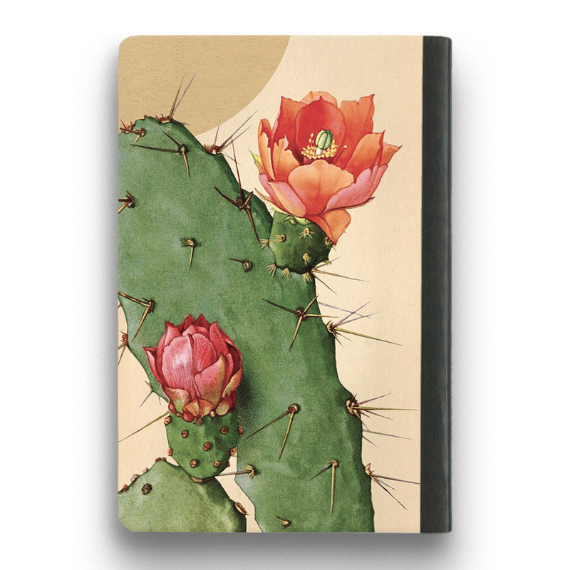 The Mincing Mockingbird - Cactus Journal - Medium