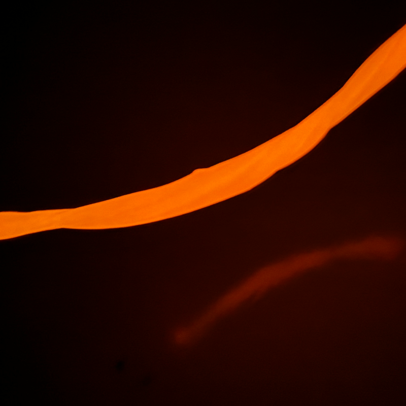 Copernicus Toys - Gootonium: Glowing Orange Solar Putty - 20g