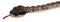 Wild Republic - Snake Metal Copper Stuffed Animal 54"