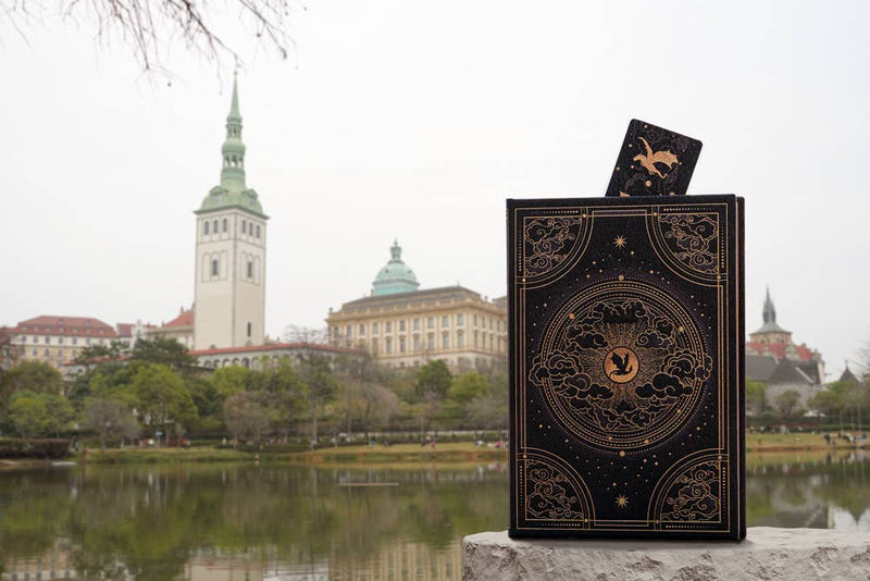 Chronicle Books - Paperblanks Shadows of Navarre Hardcover (Fourth Wing)