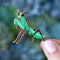 Botanical Bright - Praying Mantis Enamel Pin