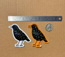 Soy Moss Art - Starling Glitter Sticker (Orange/White Background)