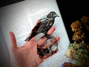 Dark Veinlet - Clear Bookmark - Crow on Skull Goth Gothic