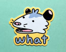 2Birds1Pencil - Confused Possum Vinyl Sticker