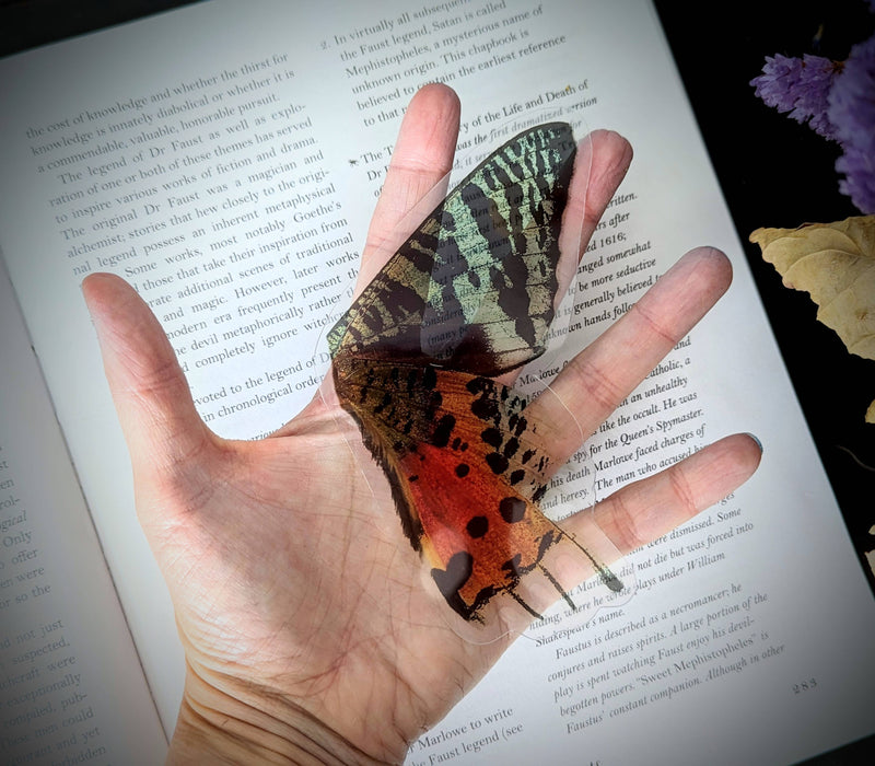 Dark Veinlet - Clear Bookmark - Madagasgar Sunset Moth Butterfly Wing