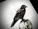 Dark Veinlet - Clear Bookmark - Crow on Skull Goth Gothic