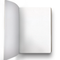 The Mincing Mockingbird - Cactus Journal - Medium