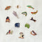 Wildship Studio - Rainbow Trout Enamel Pin
