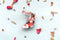 Alum and Ink - Doitsu Sanke Koi Enamel Pin: Rubber Pin Back