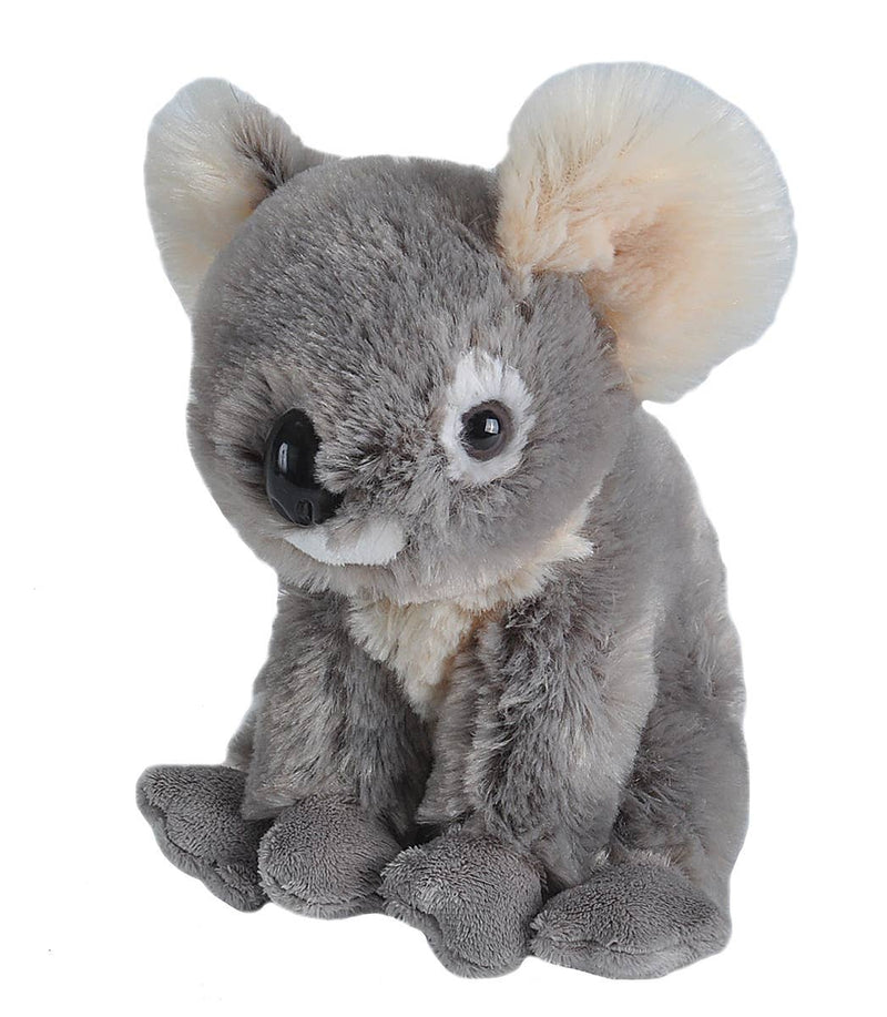 Wild Republic - CK-Mini Koala Stuffed Animal 8"