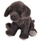 Wild Republic - Pocketkins-ECO-Chocolate Labrador Dog Stuffed Animal 5"