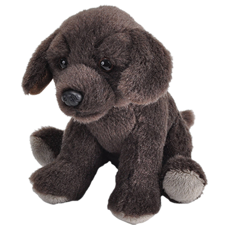 Wild Republic - Pocketkins-ECO-Chocolate Labrador Dog Stuffed Animal 5"