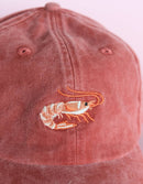 Idlewild Co. - Embroidered Hat | Shrimp, Washed Brick Color