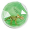 Toysmith - Dinosaur Fossil Putty, Reusable, Tactile, 3-1/2" container