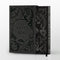The Wicked King: Collector's Edition cover image