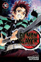 Demon Slayer: Kimetsu no Yaiba, Vol. 10 (10) cover image