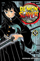 Demon Slayer: Kimetsu no Yaiba, Vol. 12 (12) cover image