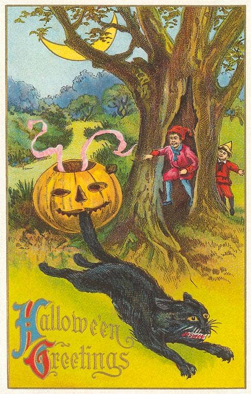 Found Image Press - Postcard HW-47 Halloween Greetings, Jack O'Lantern Biting Ca