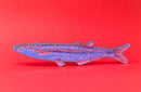 Ark Colour Design - Fish "Any Fin is Possible" Bookmark