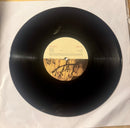 Radiohead--Amnesiac, Vinyl Record